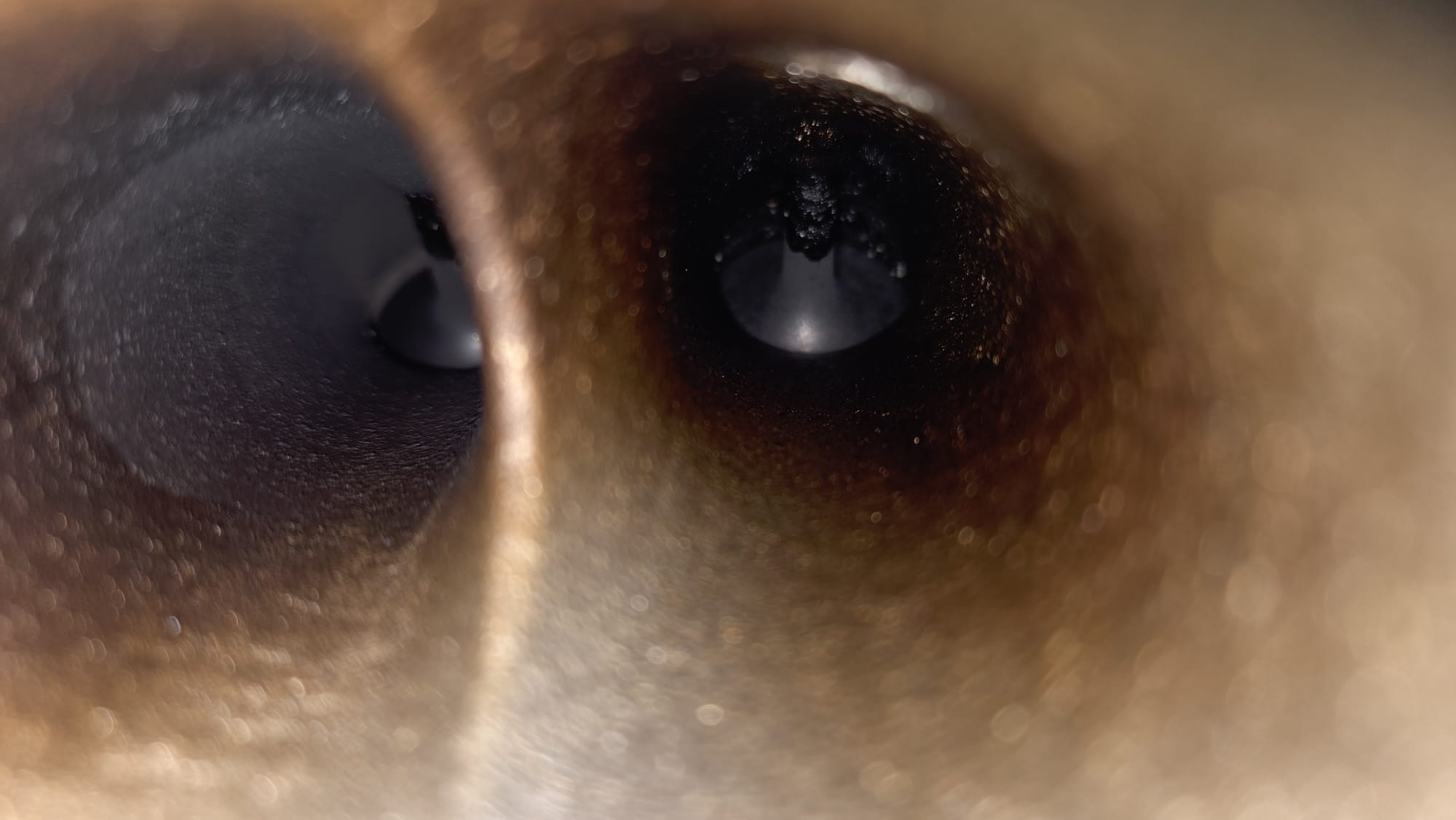 WhatsApp Image 2025-11-26 at 10.16.65.jpeg